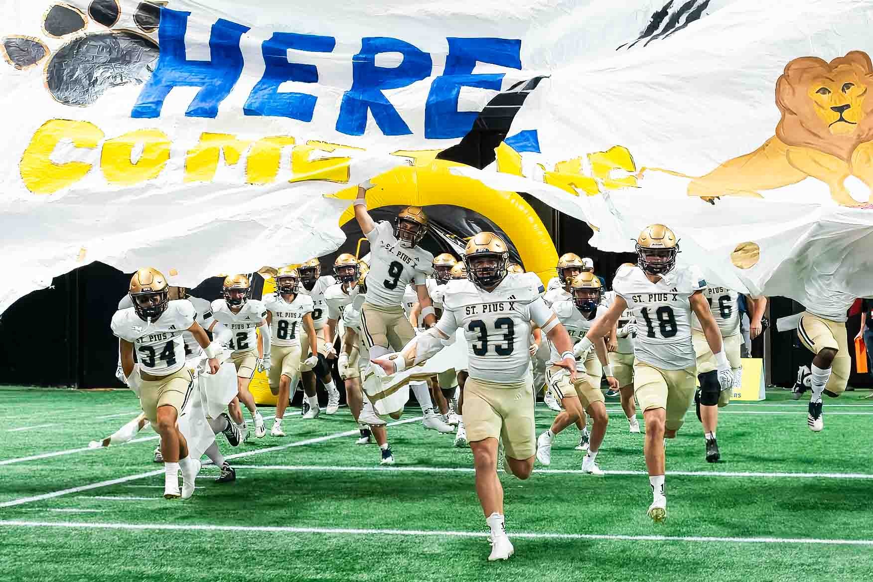 Football Golden Lions tear through banner at the Benz