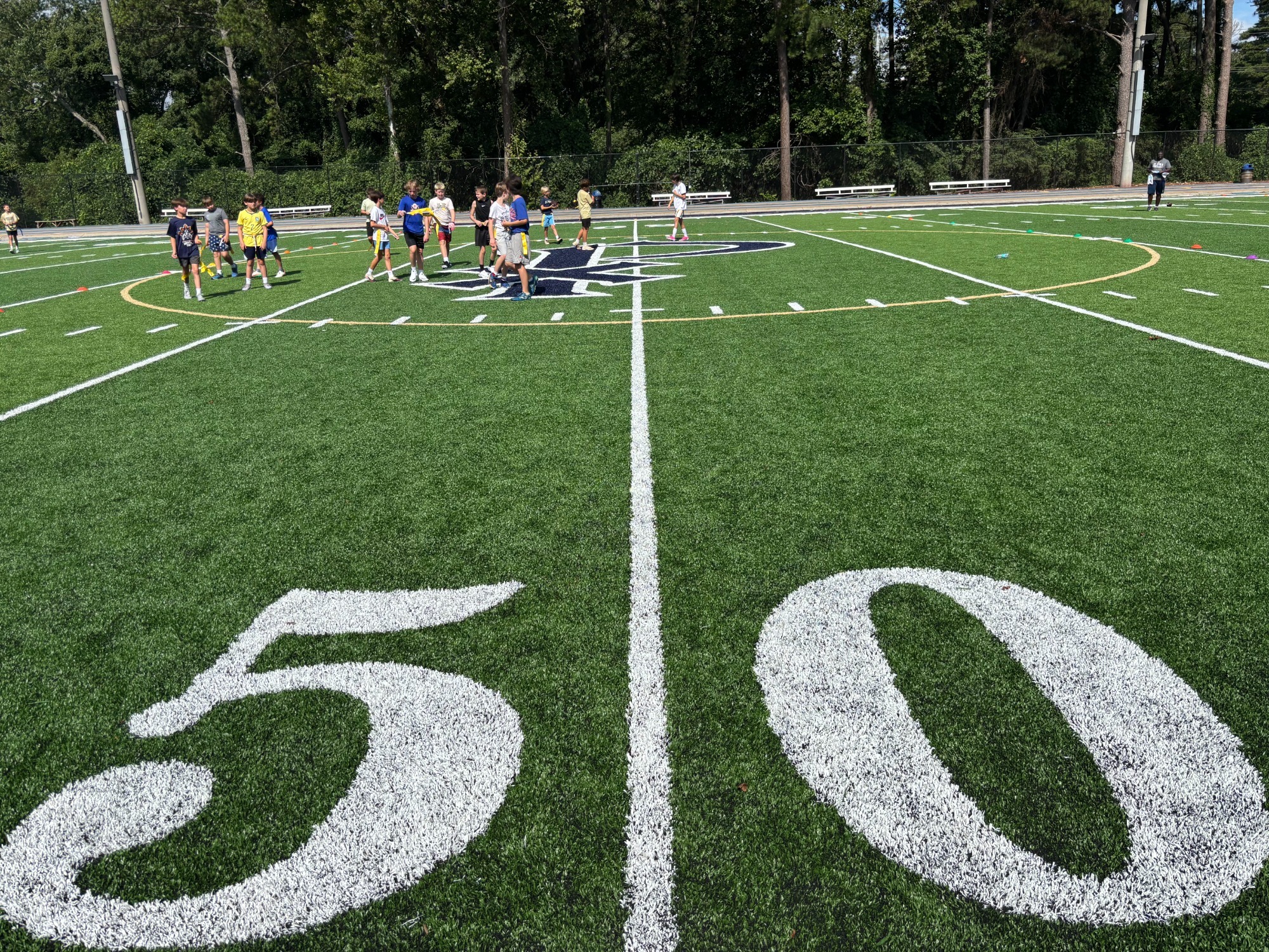 Maloof 50 yard line Returf
