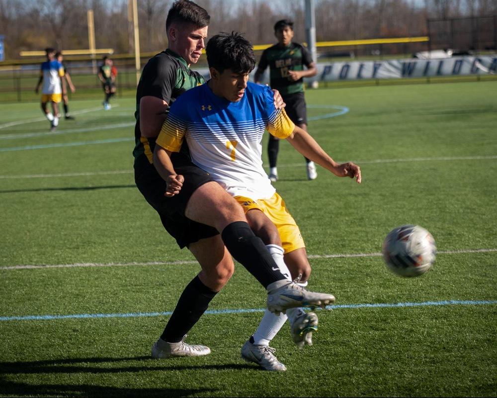MSOC Two Goals From Gomez Ignites Wildcats' Offense To a 50 Victory