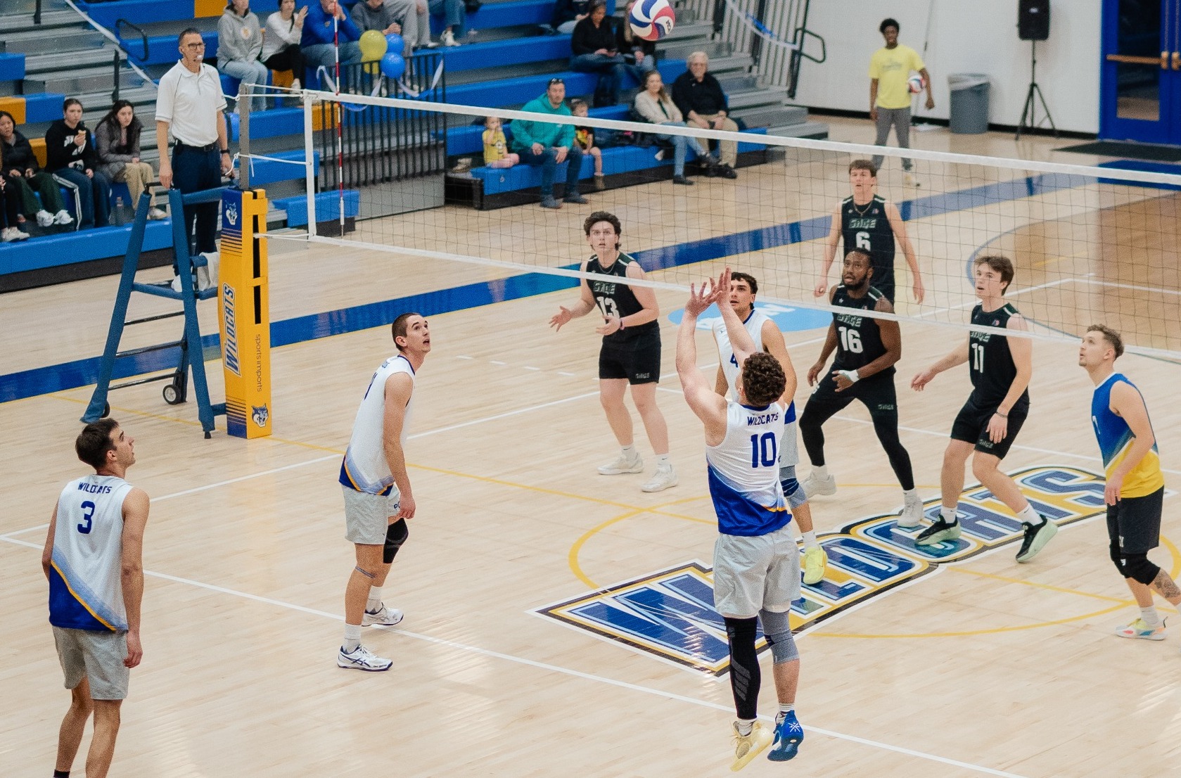 SUNY Poly men's volleyball player sets the ball for teammates 
