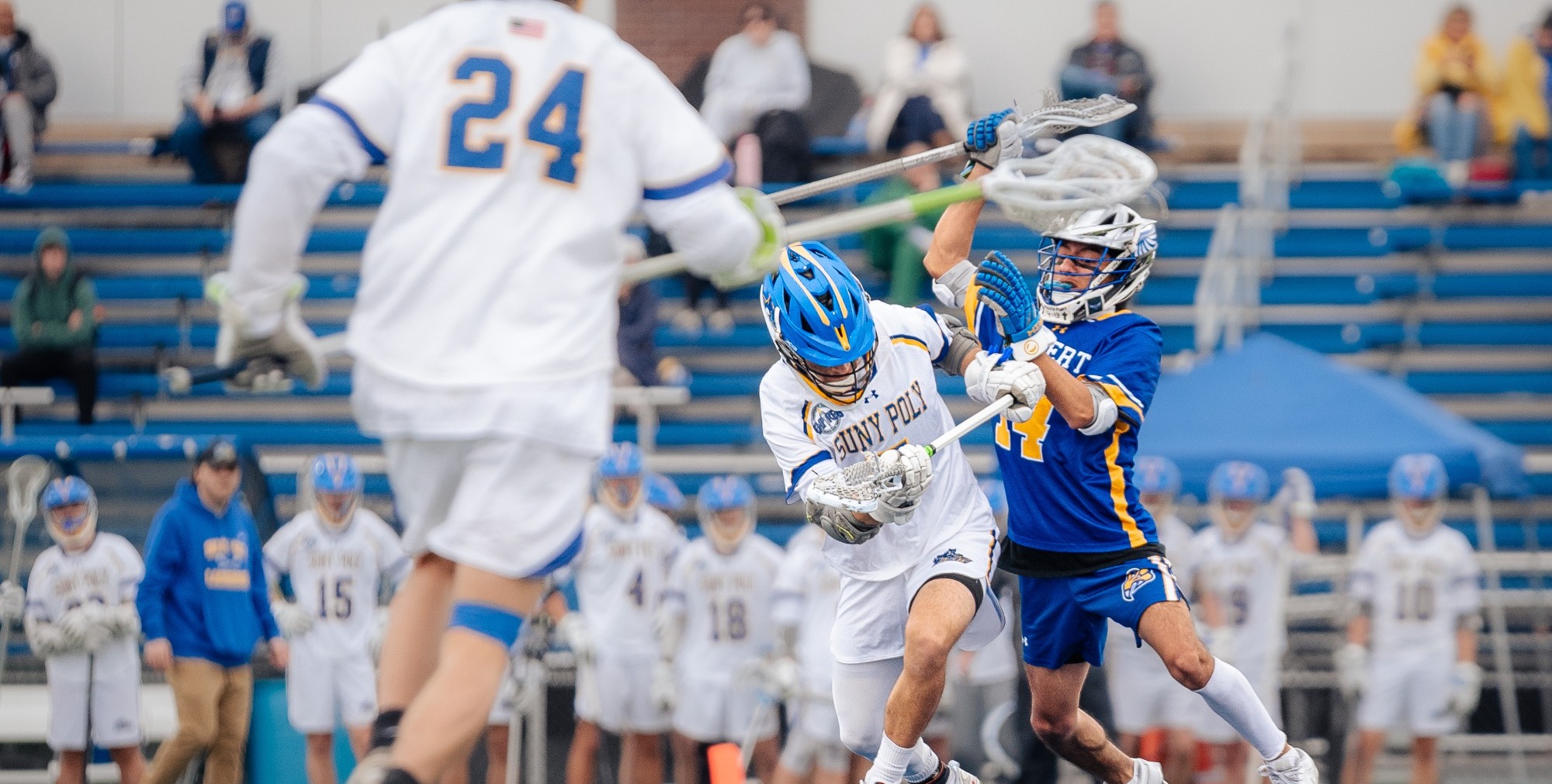 SUNY POLY LACROSSE PLAYER FIGHTS FOR FACEOFF WIN