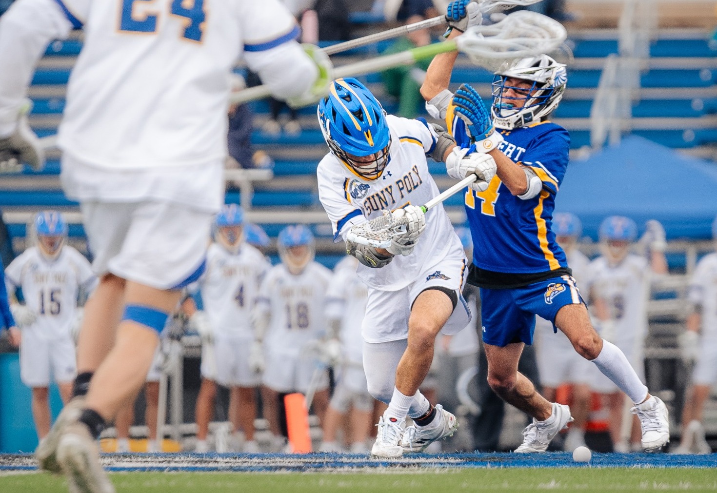 SUNY poly men's lacrosse player fights for faceoff win