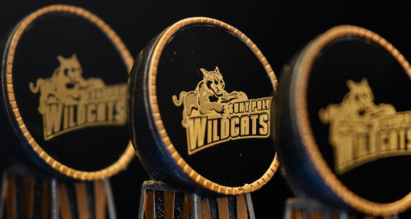 Wildcat Athletic Banquet Awards