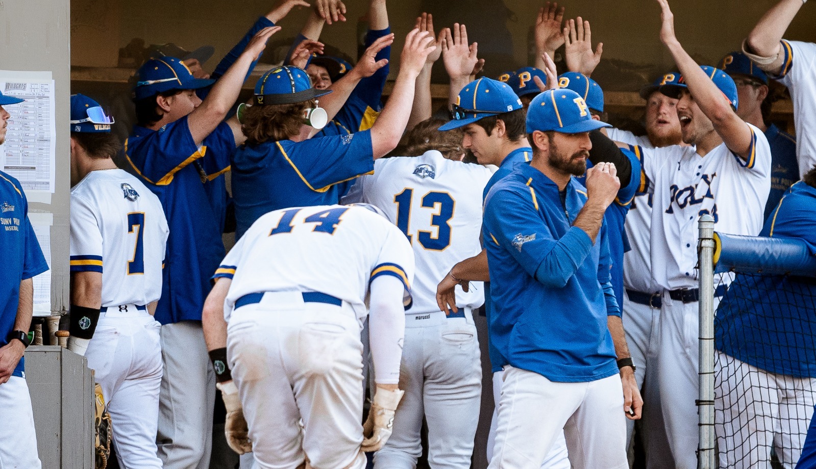 SUNY Poly baseball team celebrates after a big run is scored in playoff game against Keuka