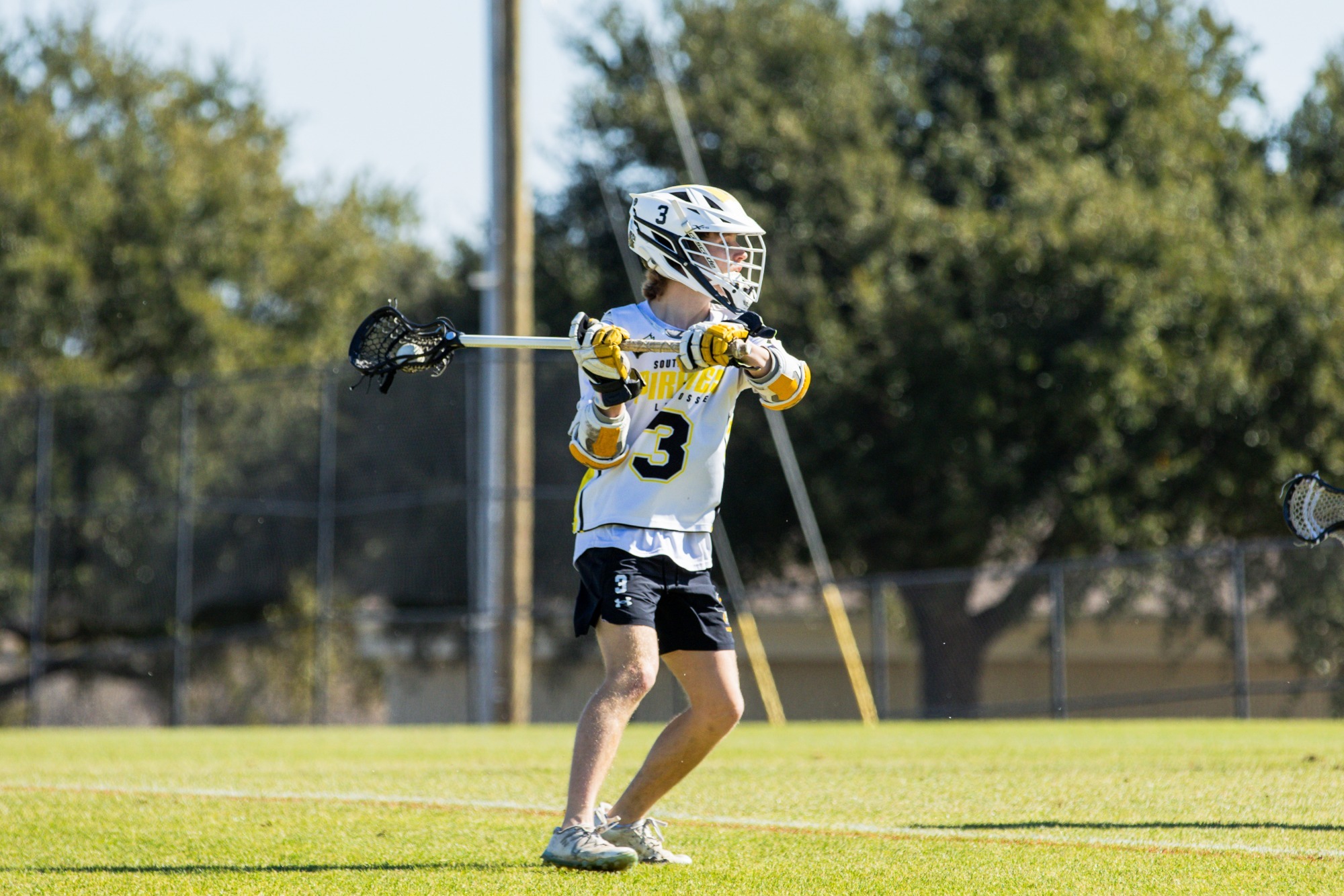 MLAX vs. Albion Story (3/8/2026)