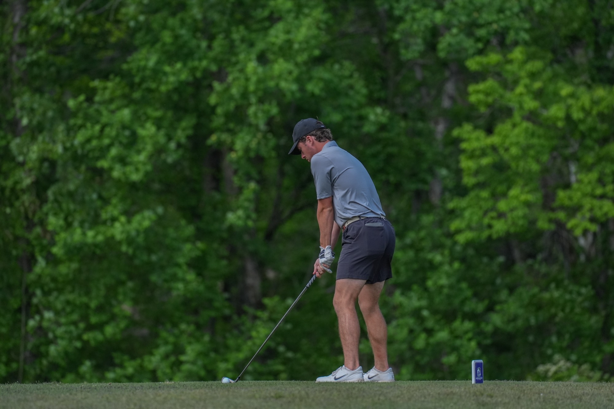 MGolf - SAA Championships