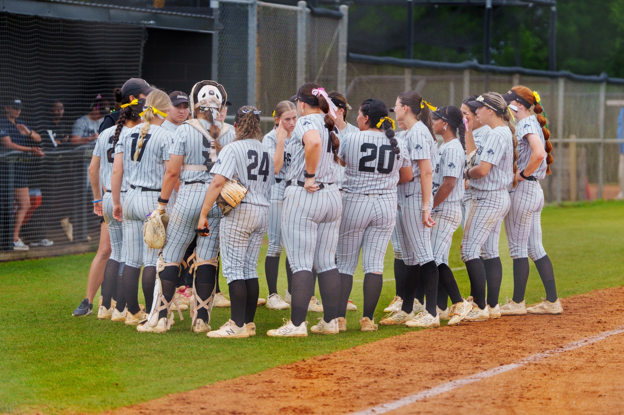 CSC - softball