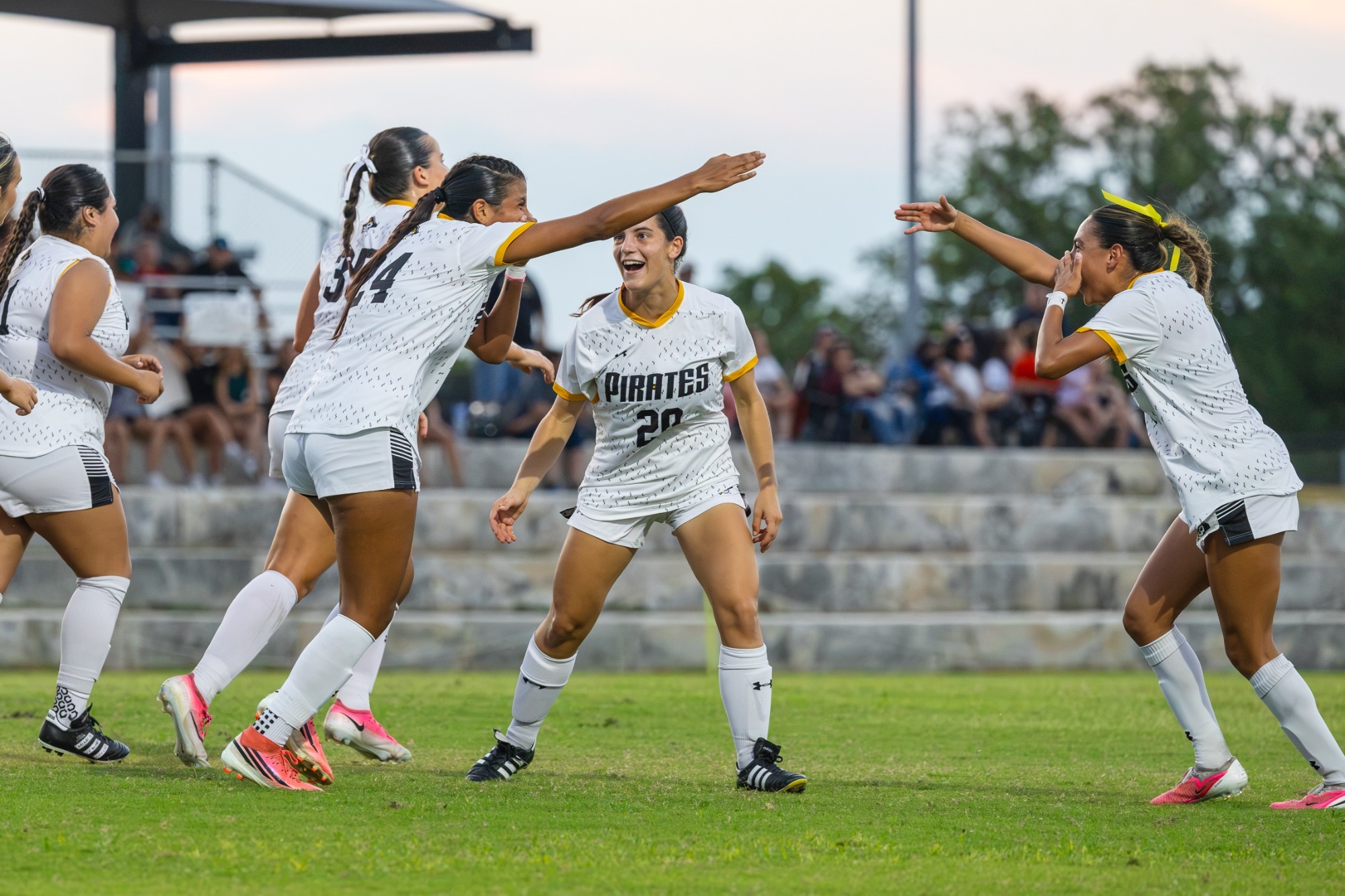 WSOC vs. St. Thomas