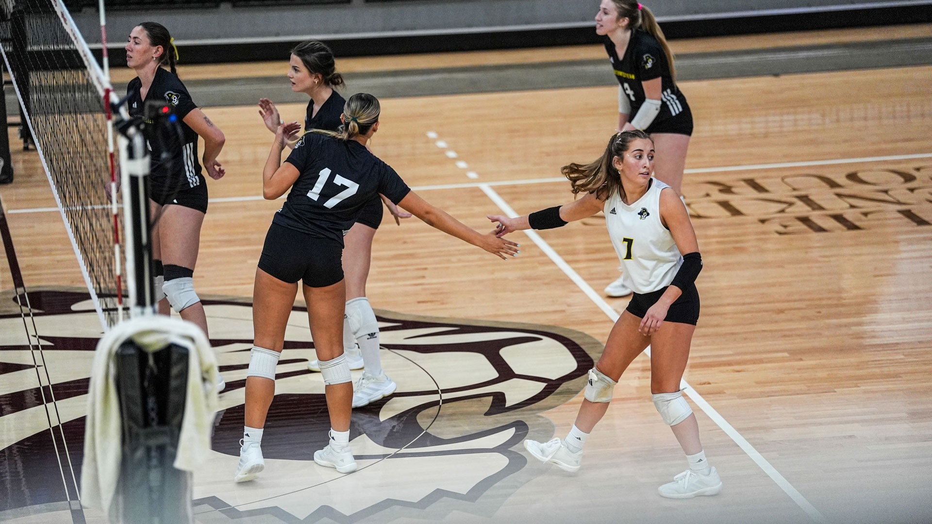 Volleyball vs. Berry