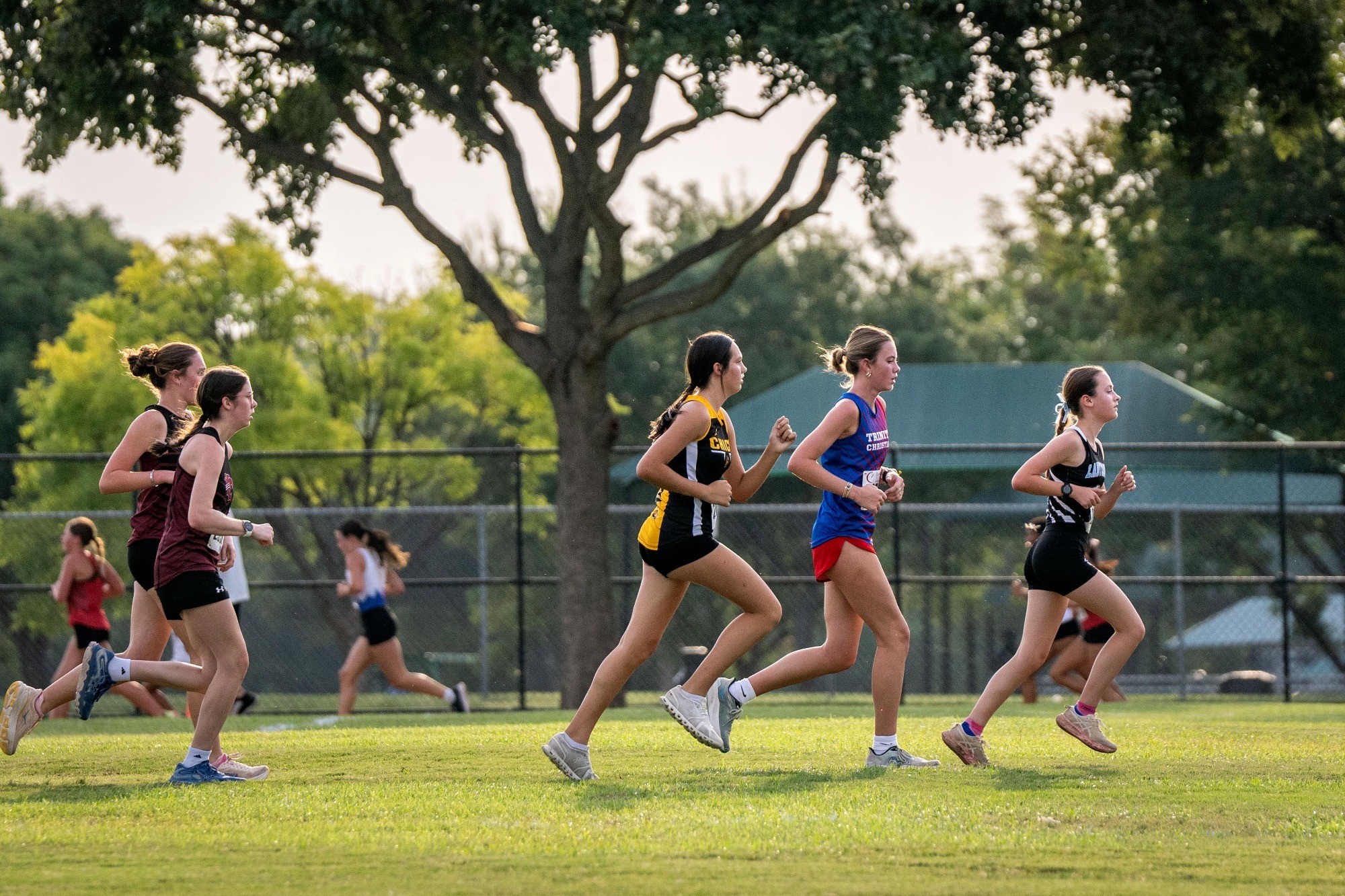 Cross Country Update 