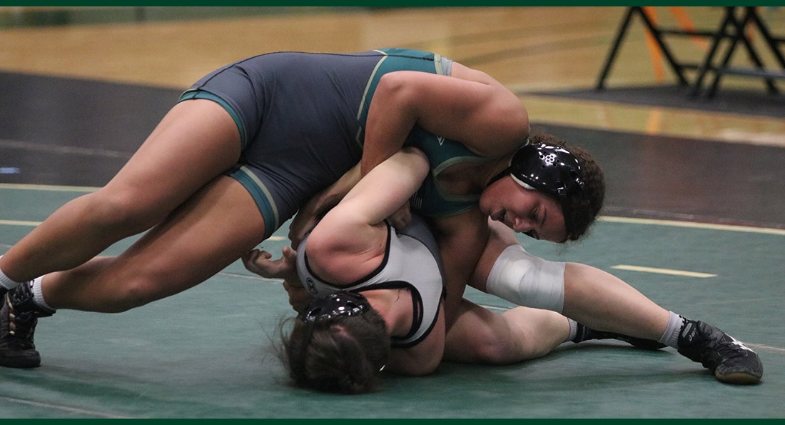 Tiffin fell at West Liberty 37-11.