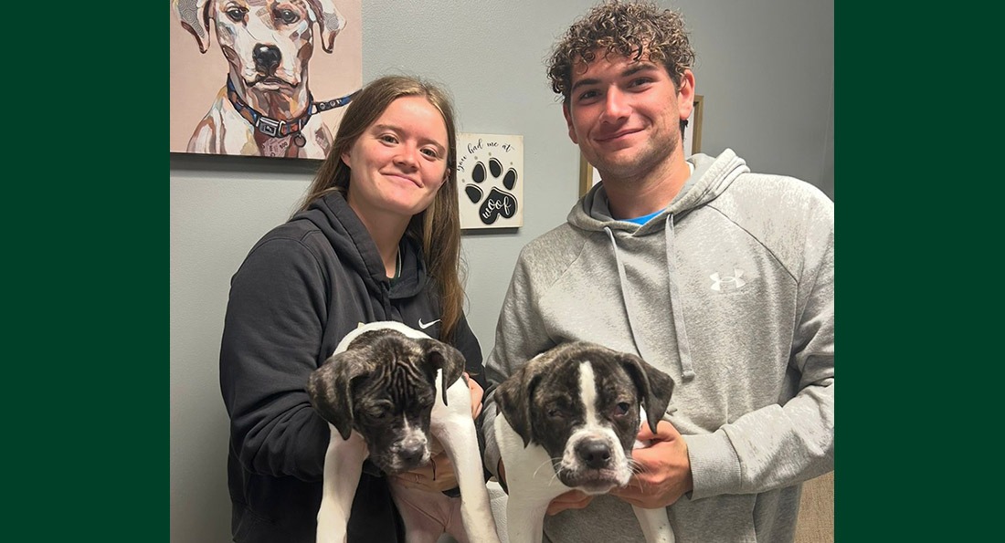 Tiffin's tennis teams worked with the Humane Society.