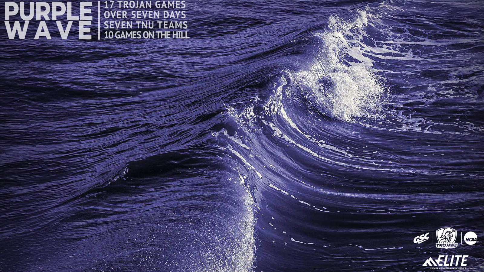 purple wave 20260215