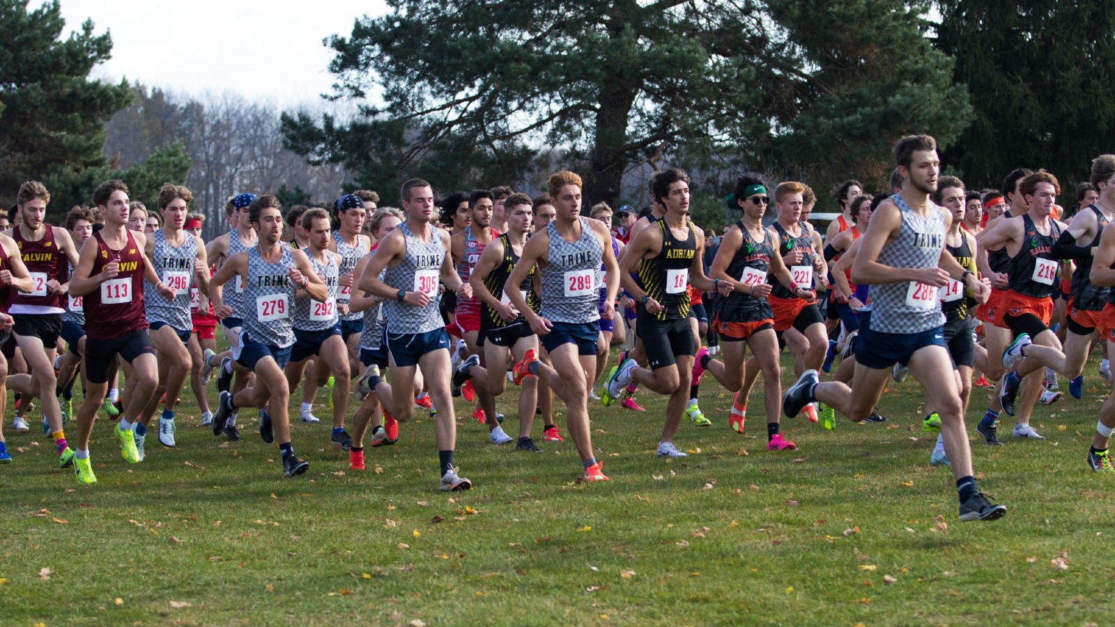 MXC v MIAA
