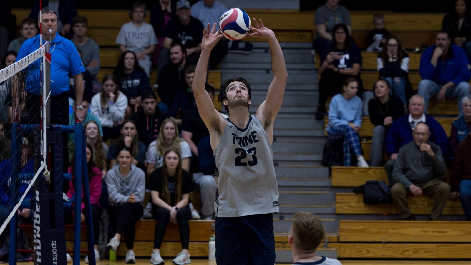 McDonald, Ryan v MSJ