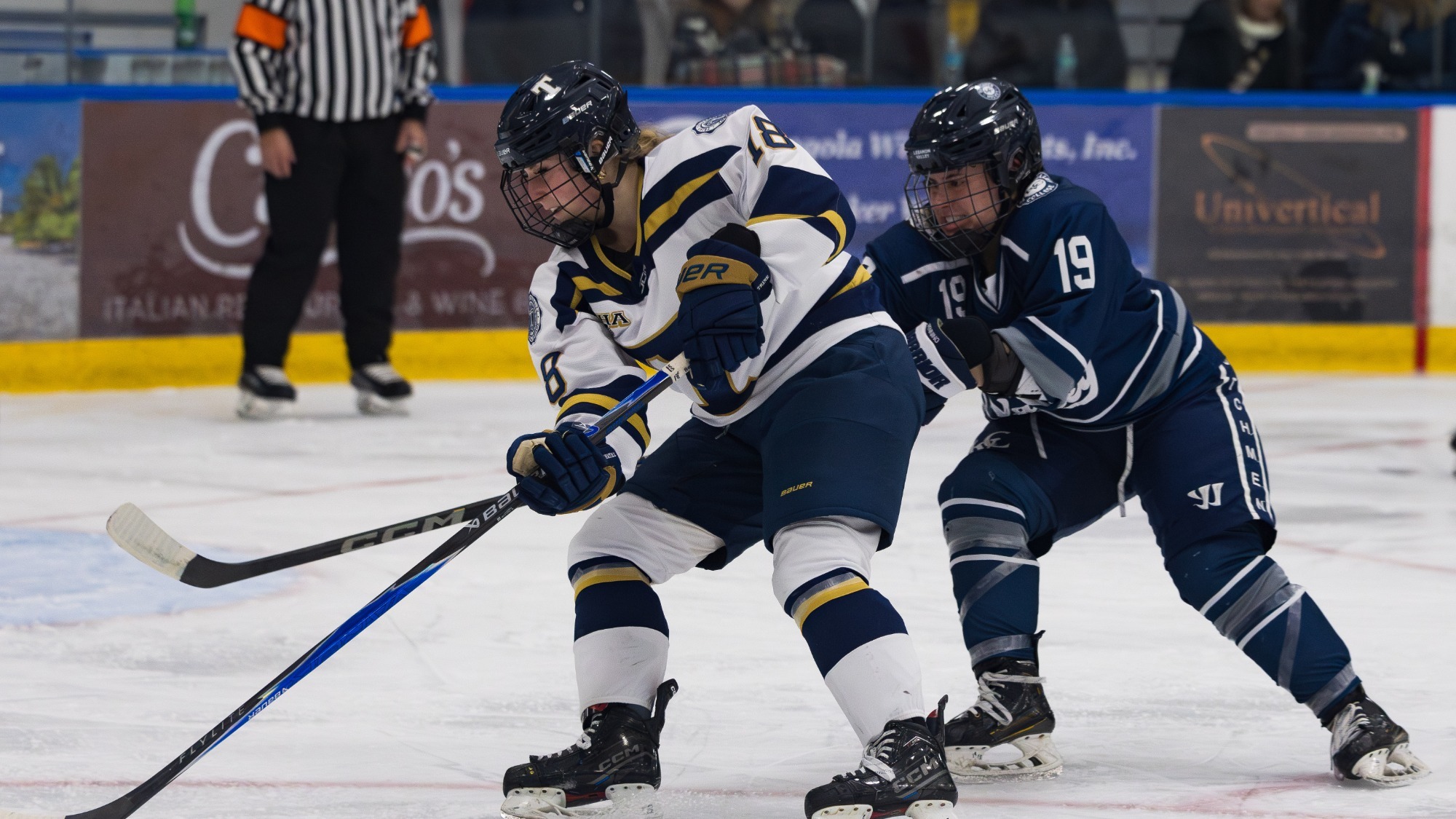 Biblow, Cassandra vs LVC_1-2-25-2.jpg