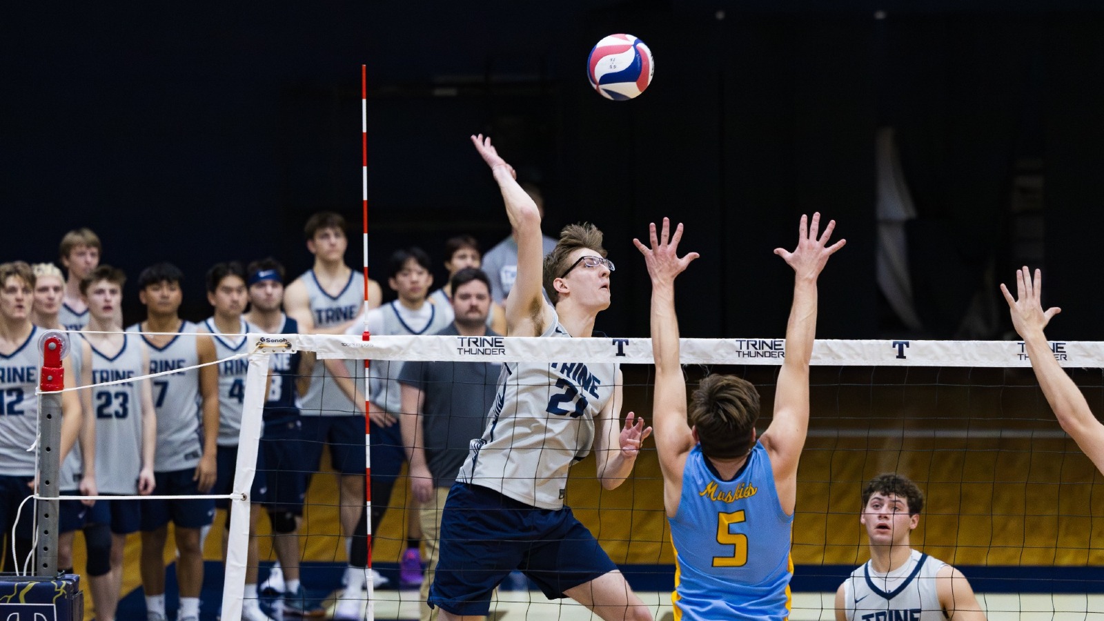 Both, Karl v Lakeland