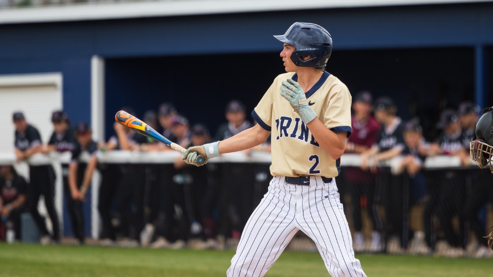 Taczak, William v Alma 4-25-25