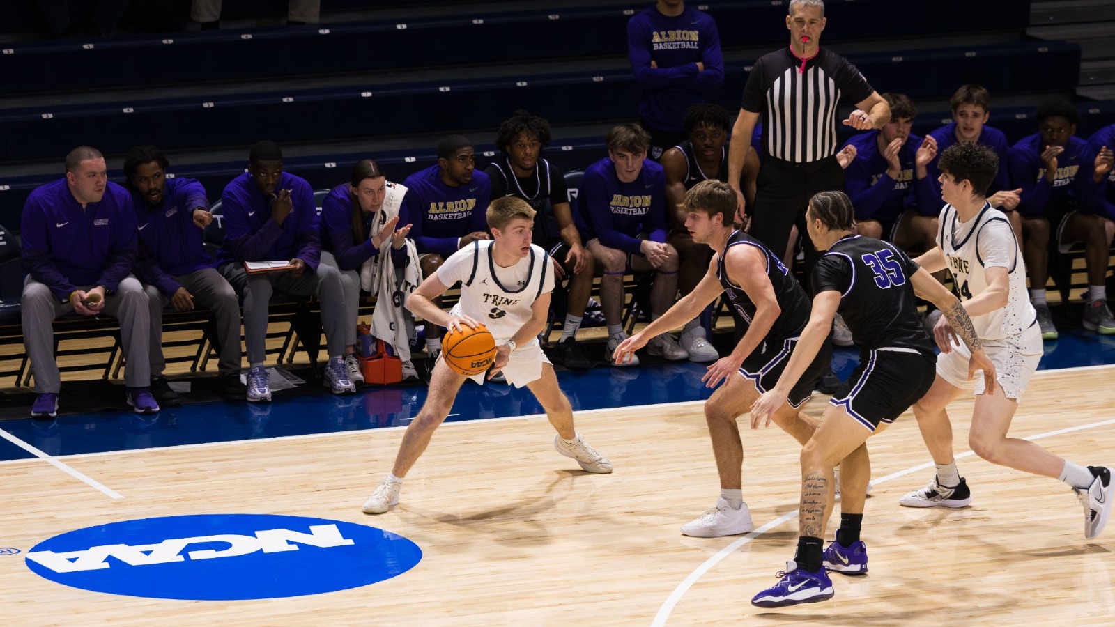 Brenner, Cade v Albion 2-4-26