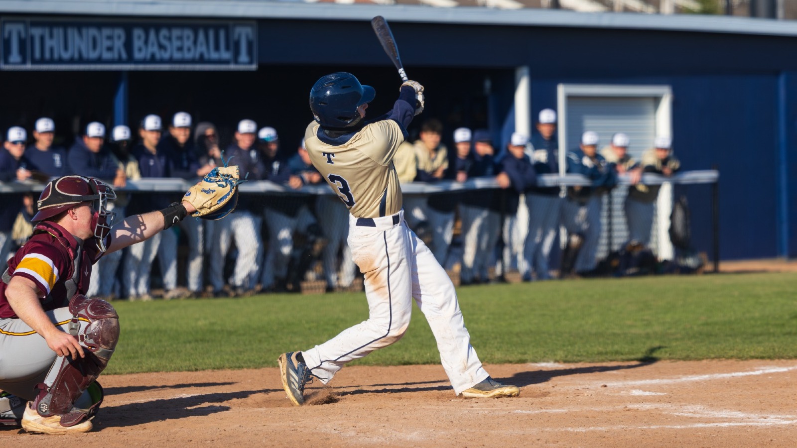 Schmidthuber, Cole v Calvin