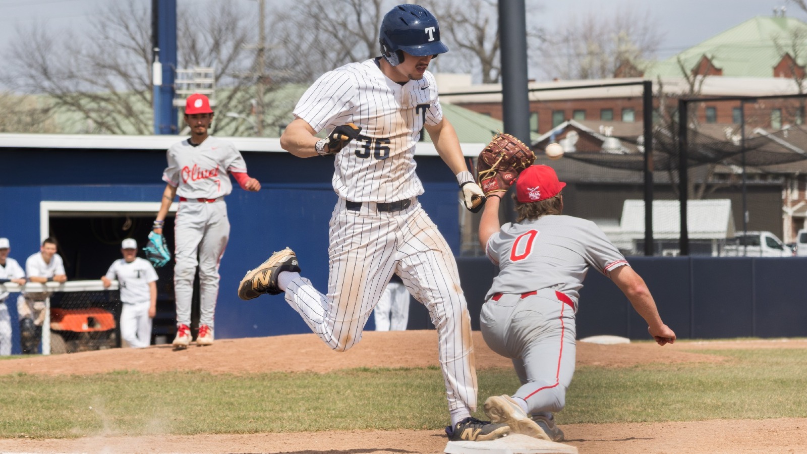 Clements, Cole v Olivet