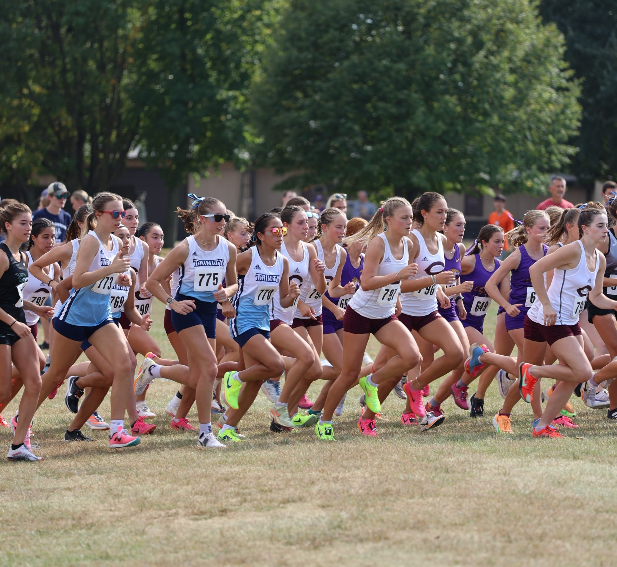 TCCWXC