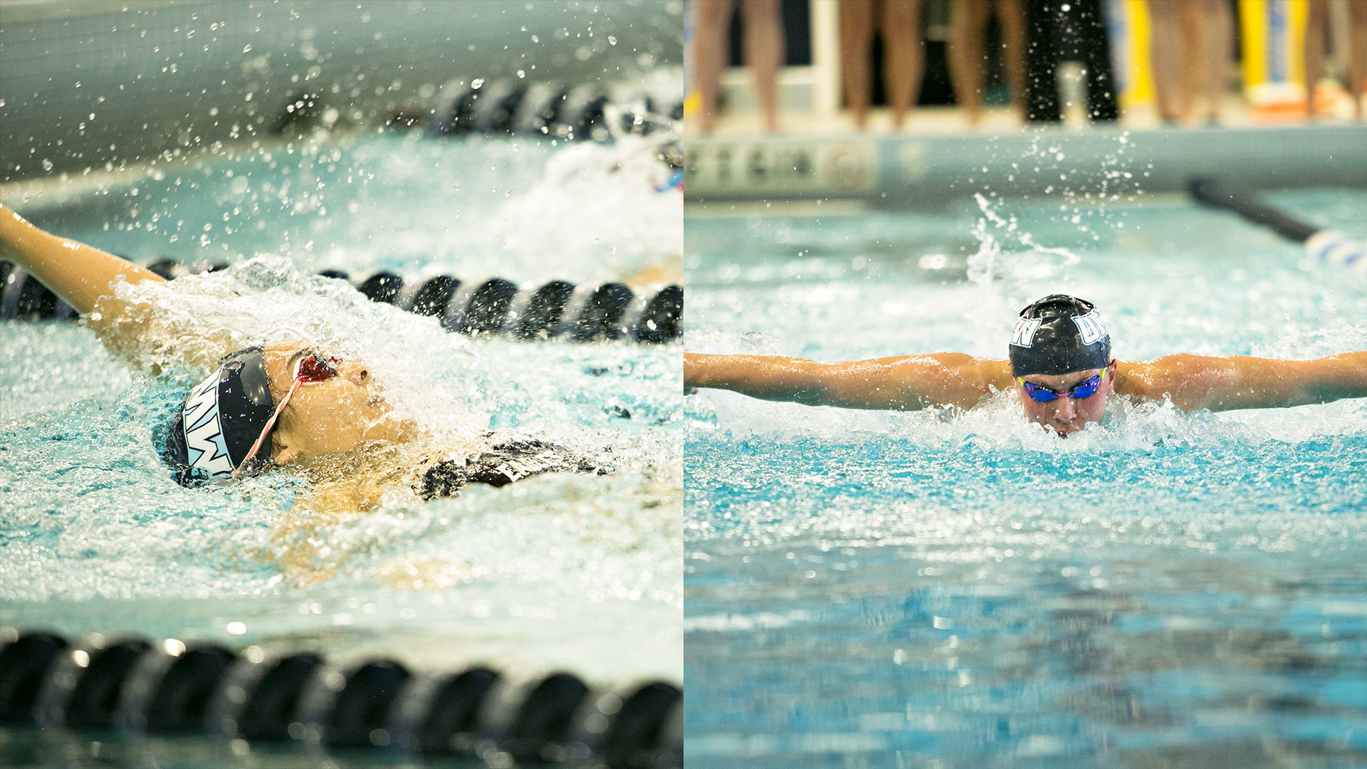 Swimmers swim in the poll