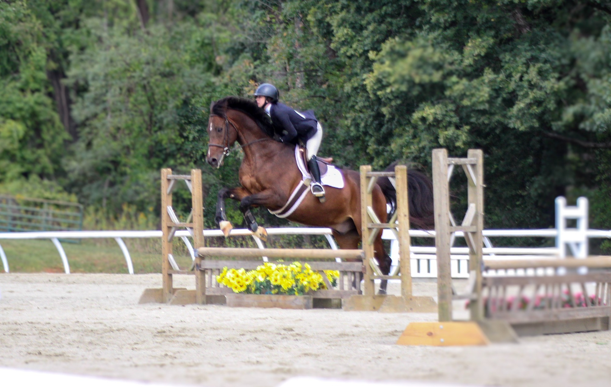 eq 0927 action