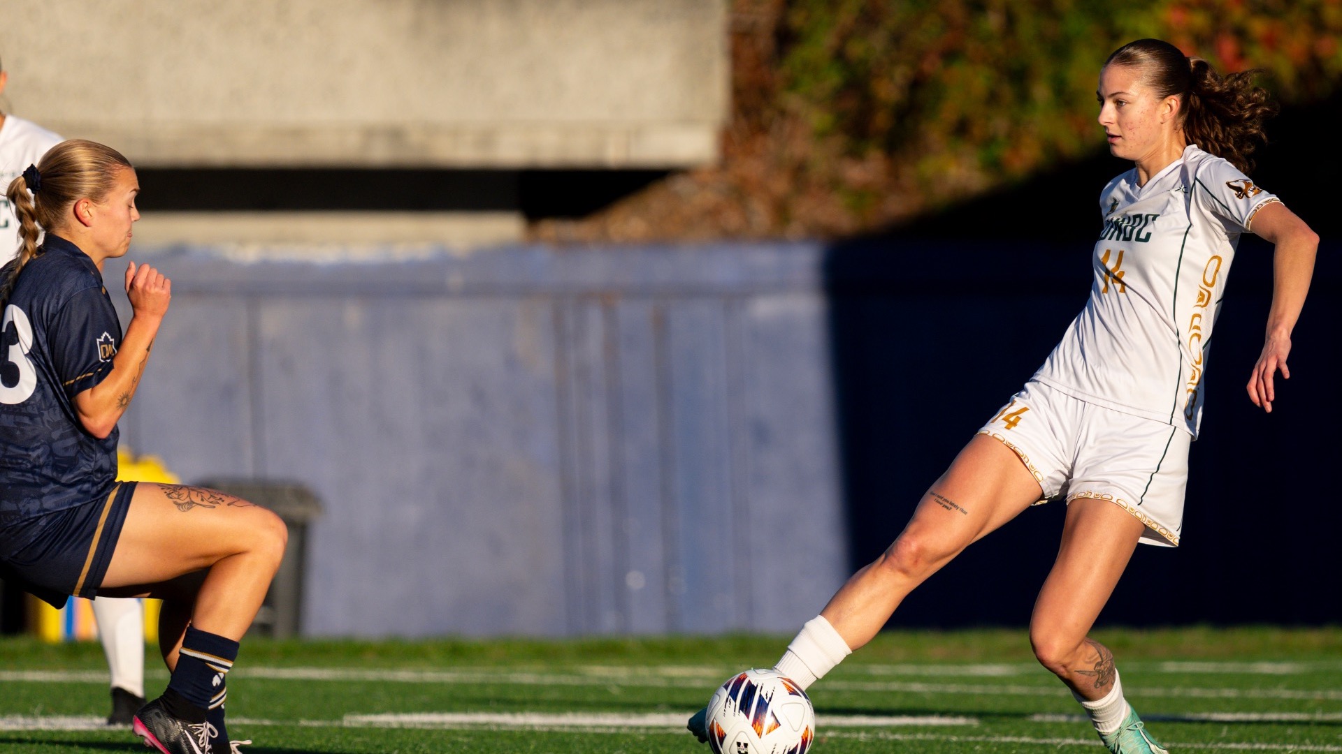 wsoc