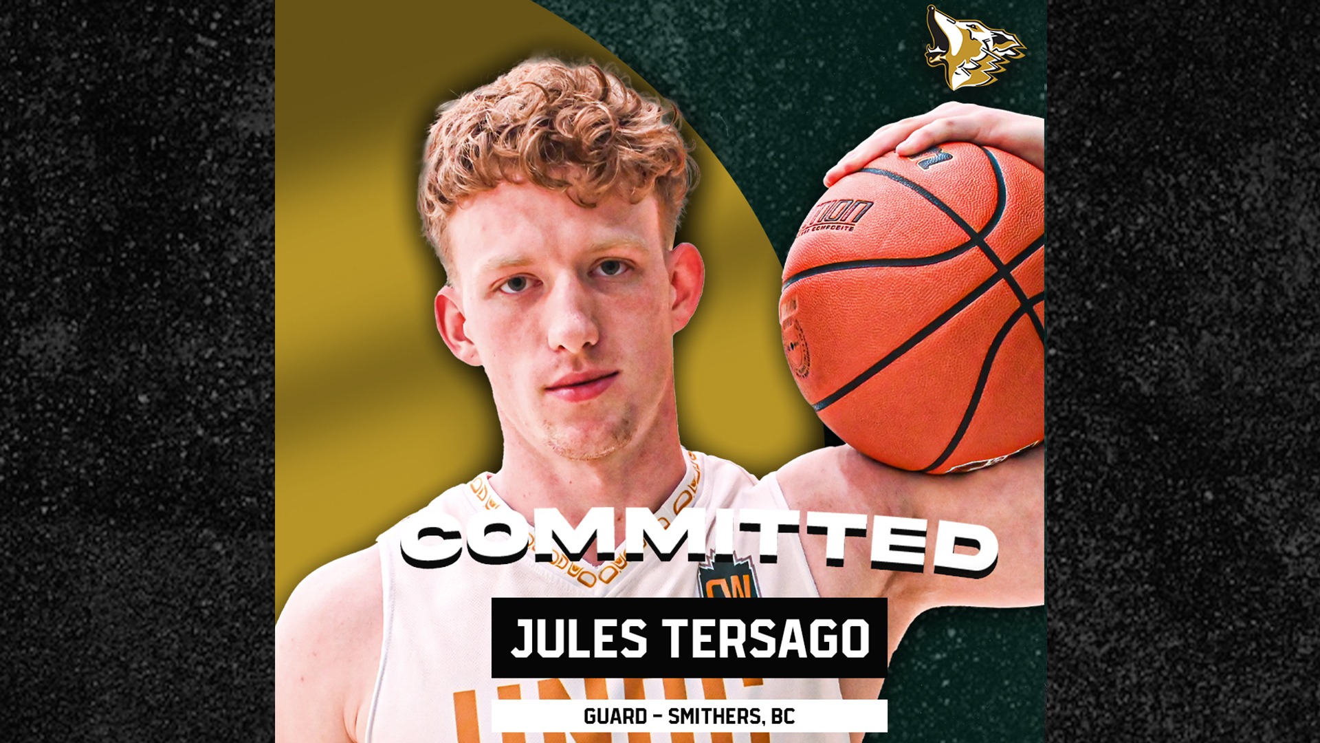 Jules Tersago MBB Commitment