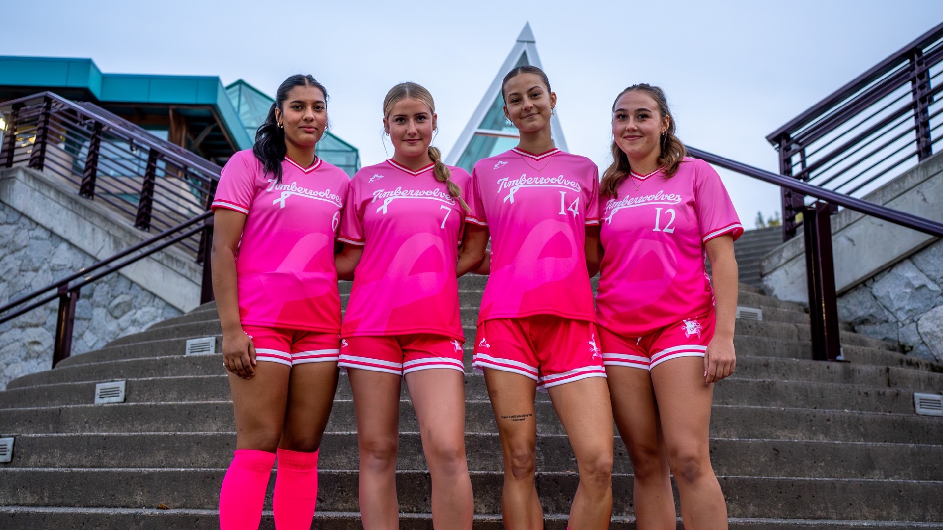 Soccer for Cancer Image