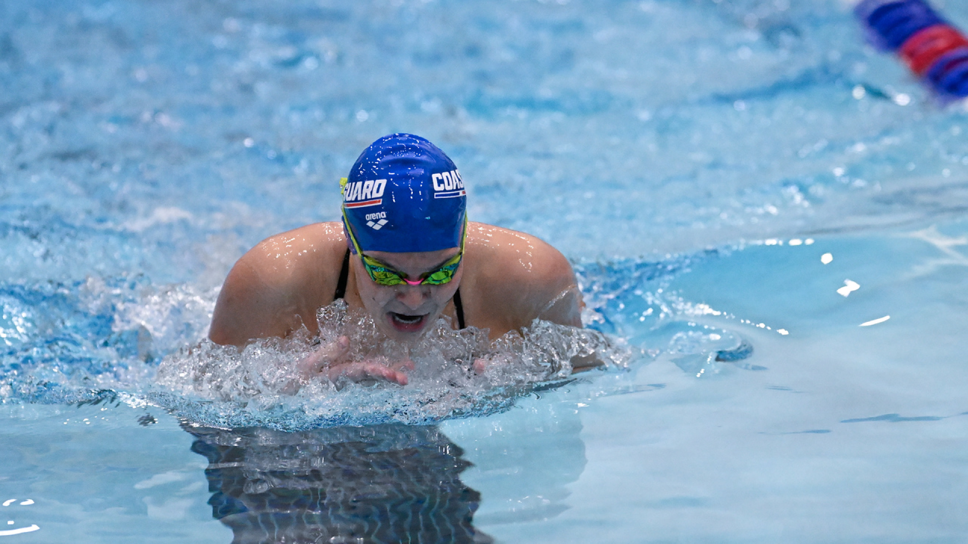 WSWIM at Wellesley Cover 11/14/2025