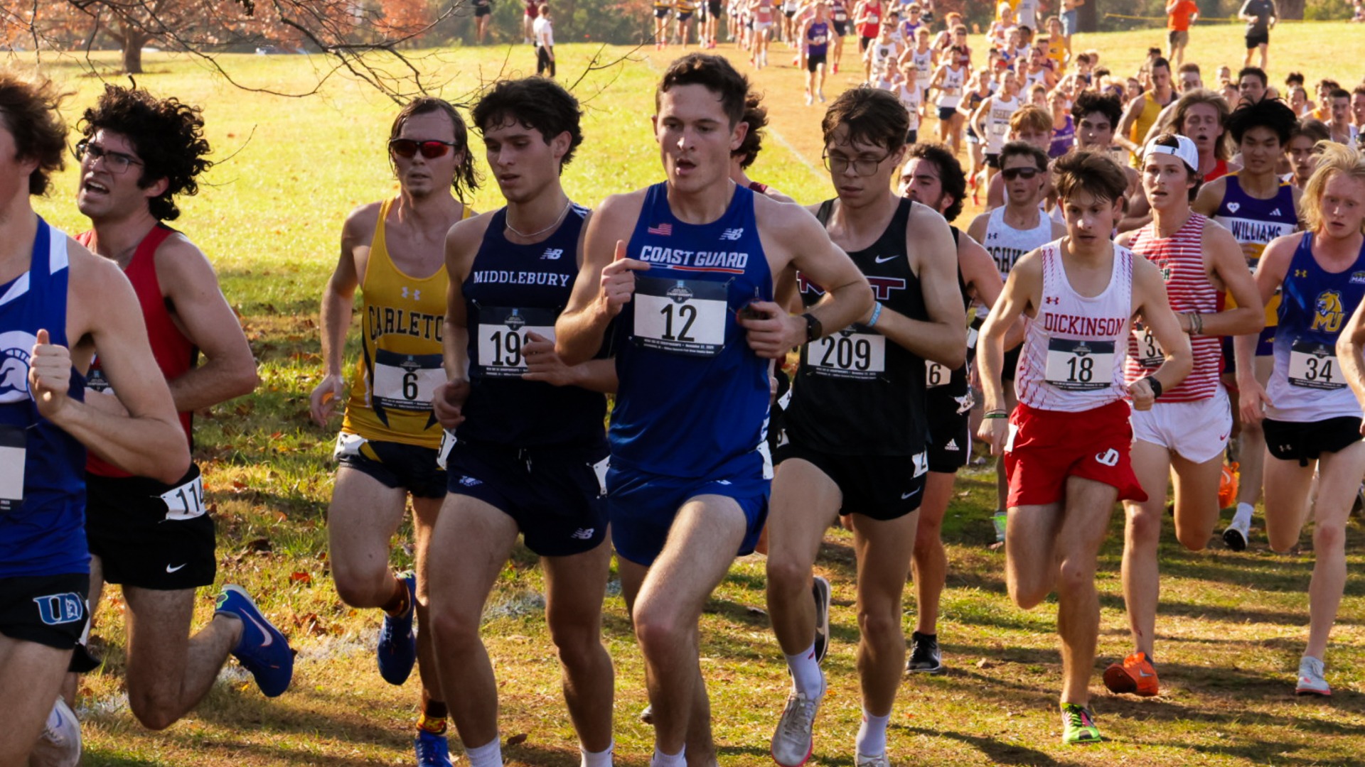 Hobbs Natty Cover 11/22/2025