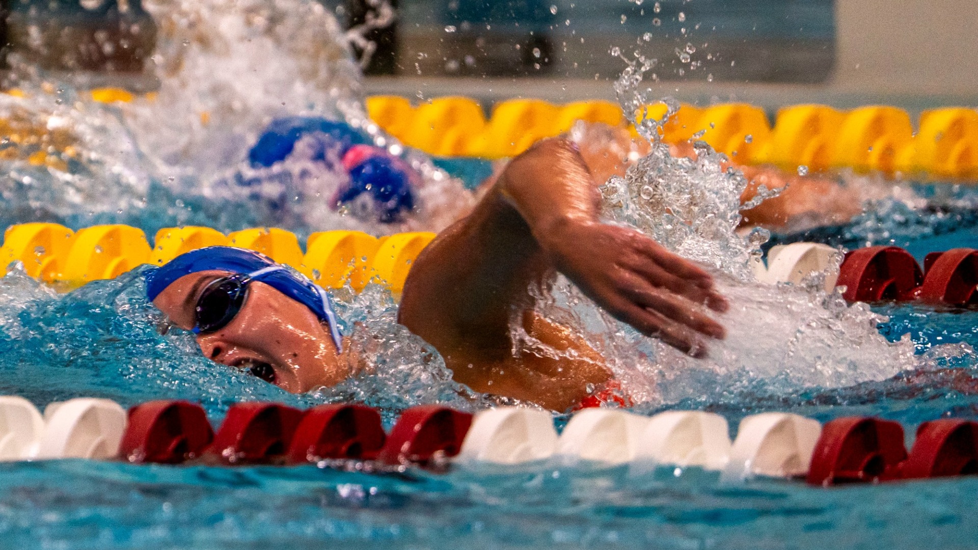 WS&D at NEWMACs 2/20/26 Cover