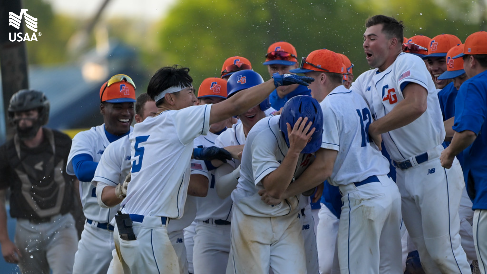 Baseball Team Preview