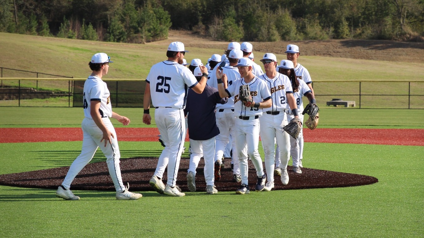 Baseball Handshake Line