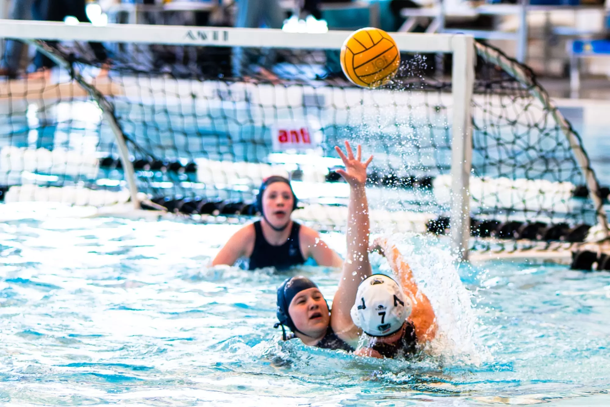 Water Polo 2026 Story Photo