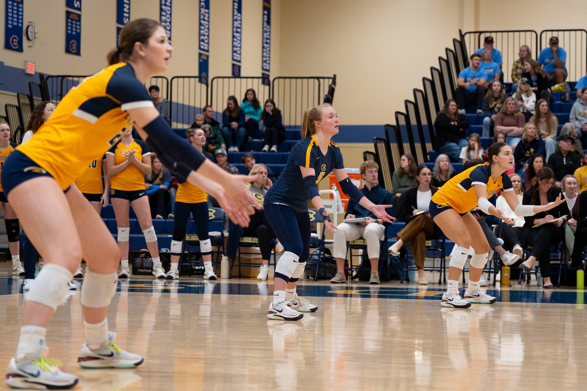 Sheridan Dettmann 202324 Women's Volleyball University of