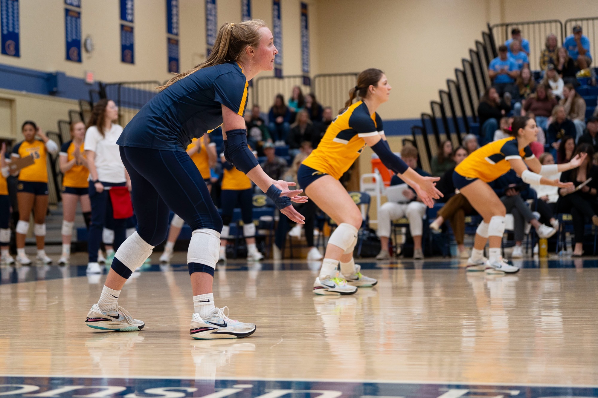 Sheridan Dettmann 202324 Women's Volleyball University of