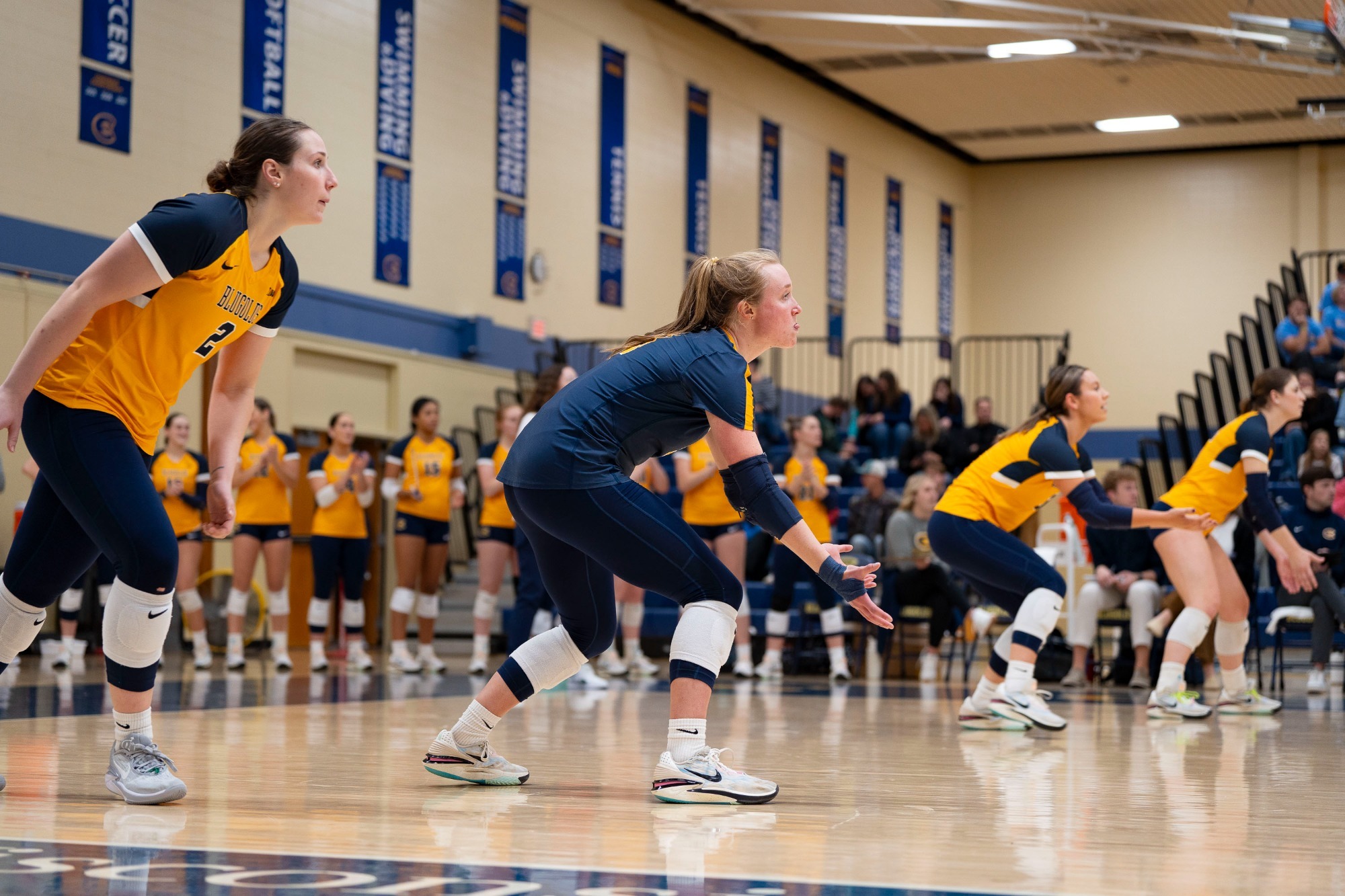 Charlie Nelson 202324 Women's Volleyball University of Wisconsin