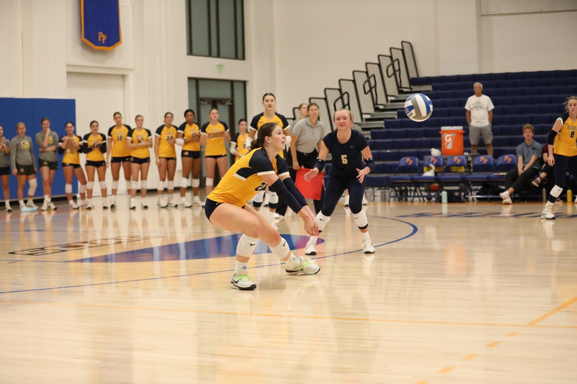 Sheridan Dettmann 202324 Women's Volleyball University of