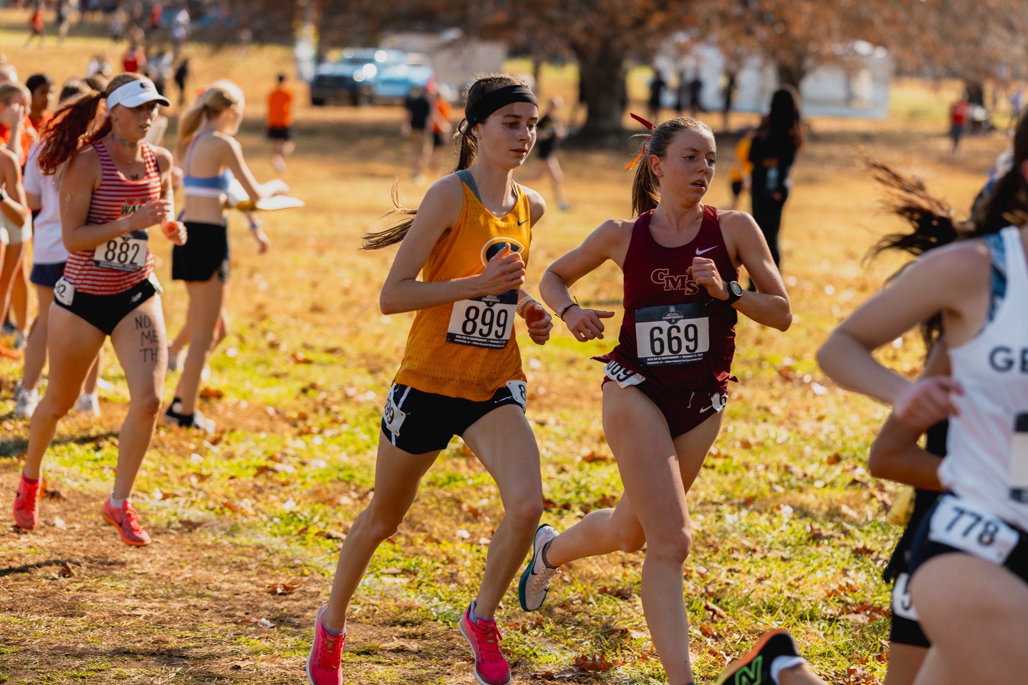 WXC NCAA Action Shot