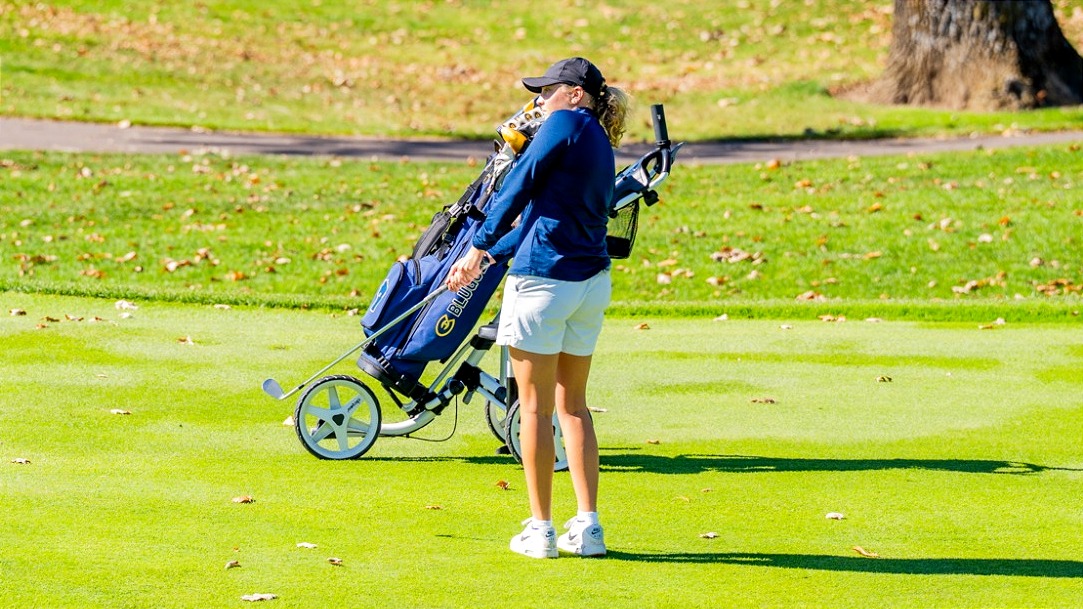 WGOLF 10.10