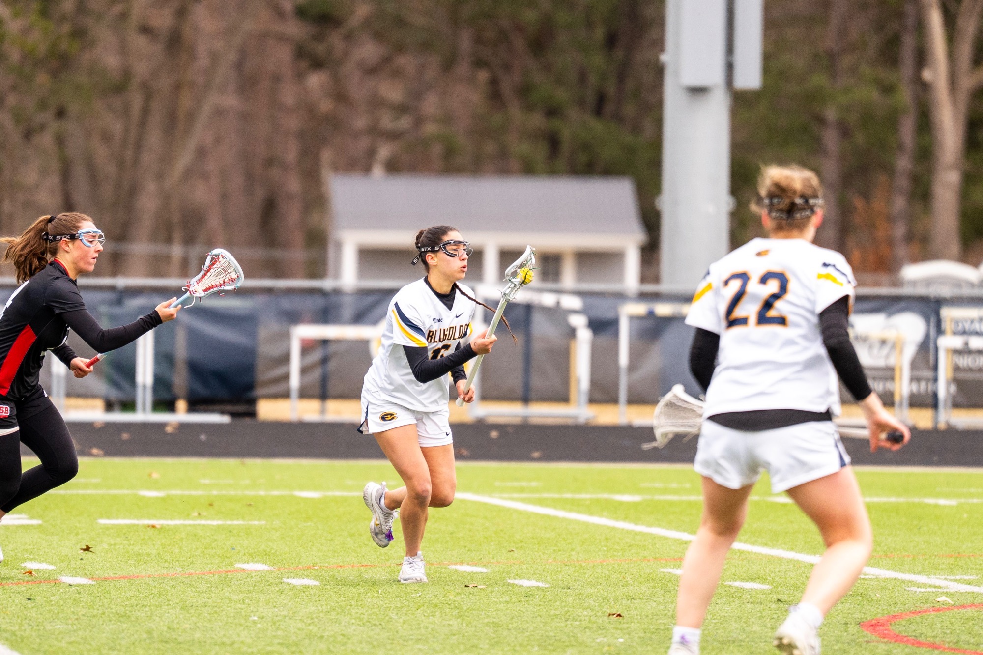 WLAX Action Shot