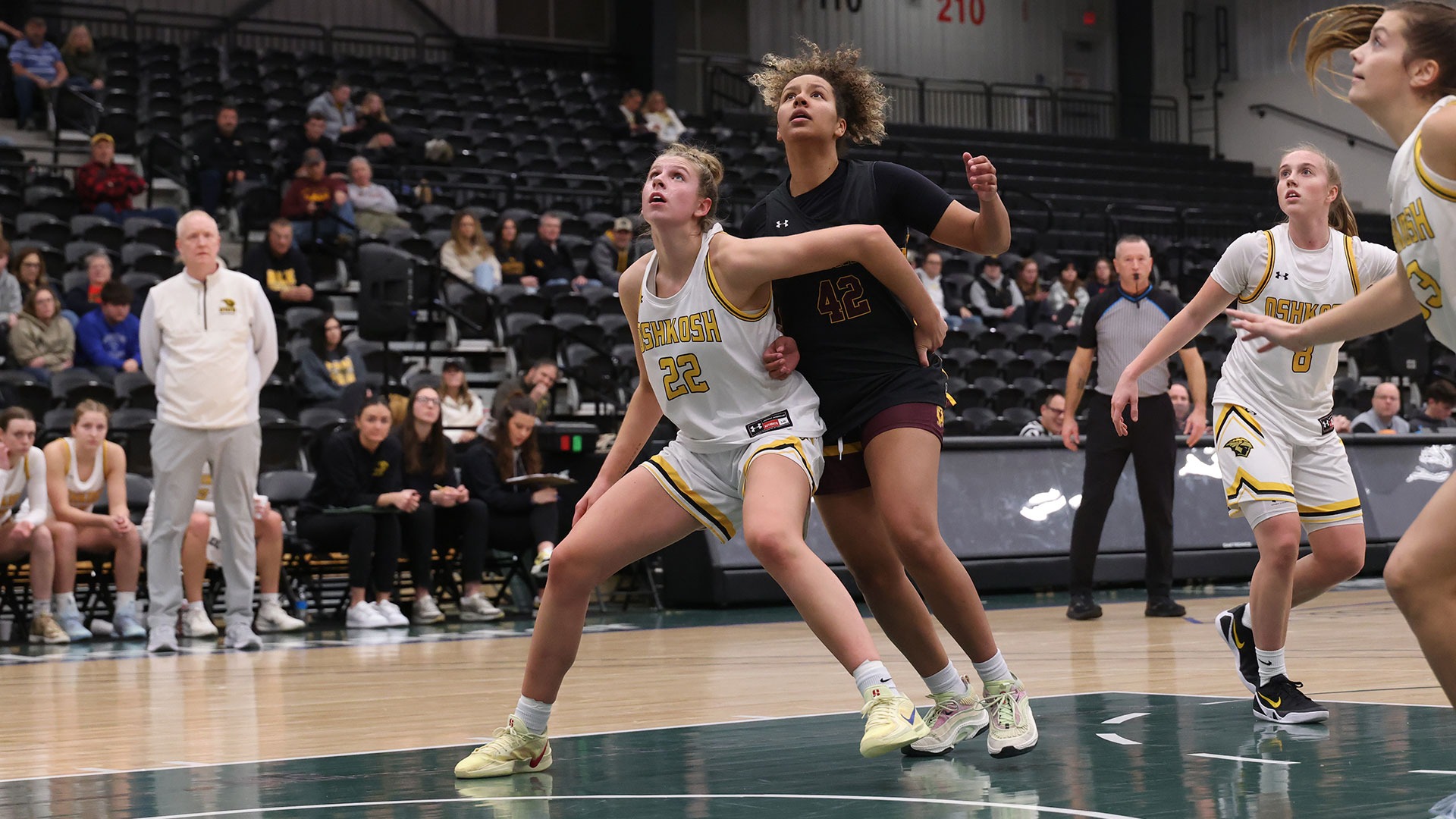 2025 Paige Seckar Action Shot, boxing out a Minnesota Morris defender