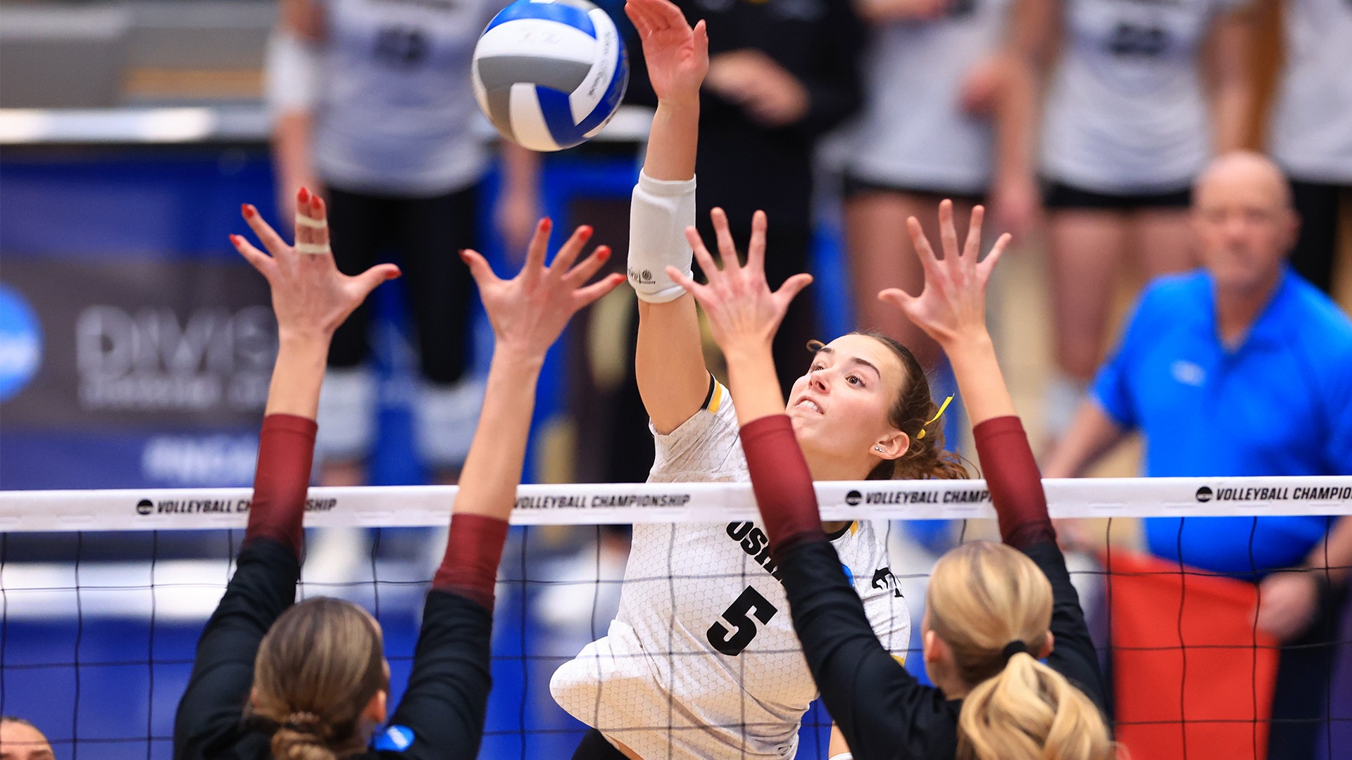 2025 Samantha Perlberg Action Shot, attacking over the net against Calvin in the NCAA Championship