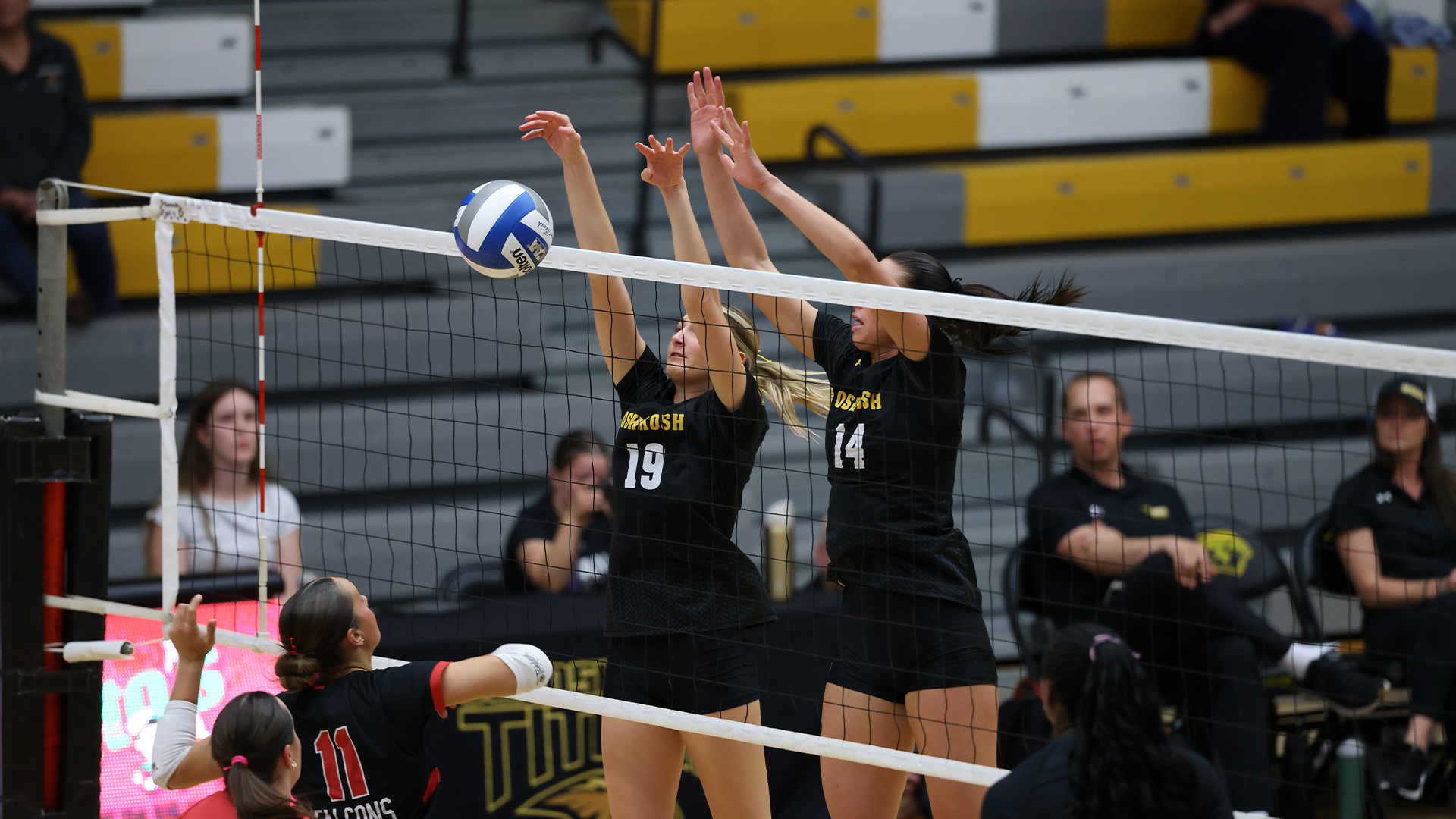 2026 Women's Volleyball Action Shot, UWRF