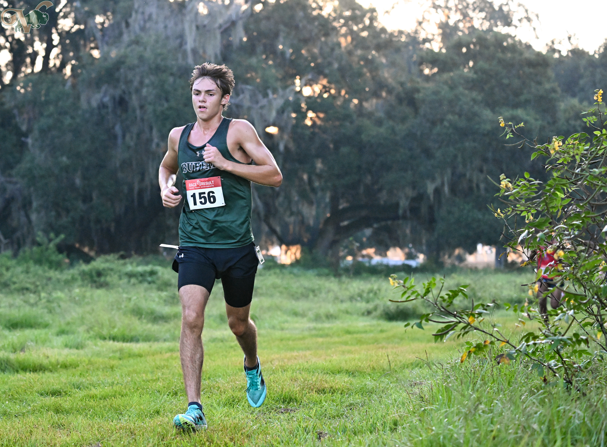 VHS Cross Country hosts the Buffalo Invitational on September 21, 2024, at Silo Oaks.