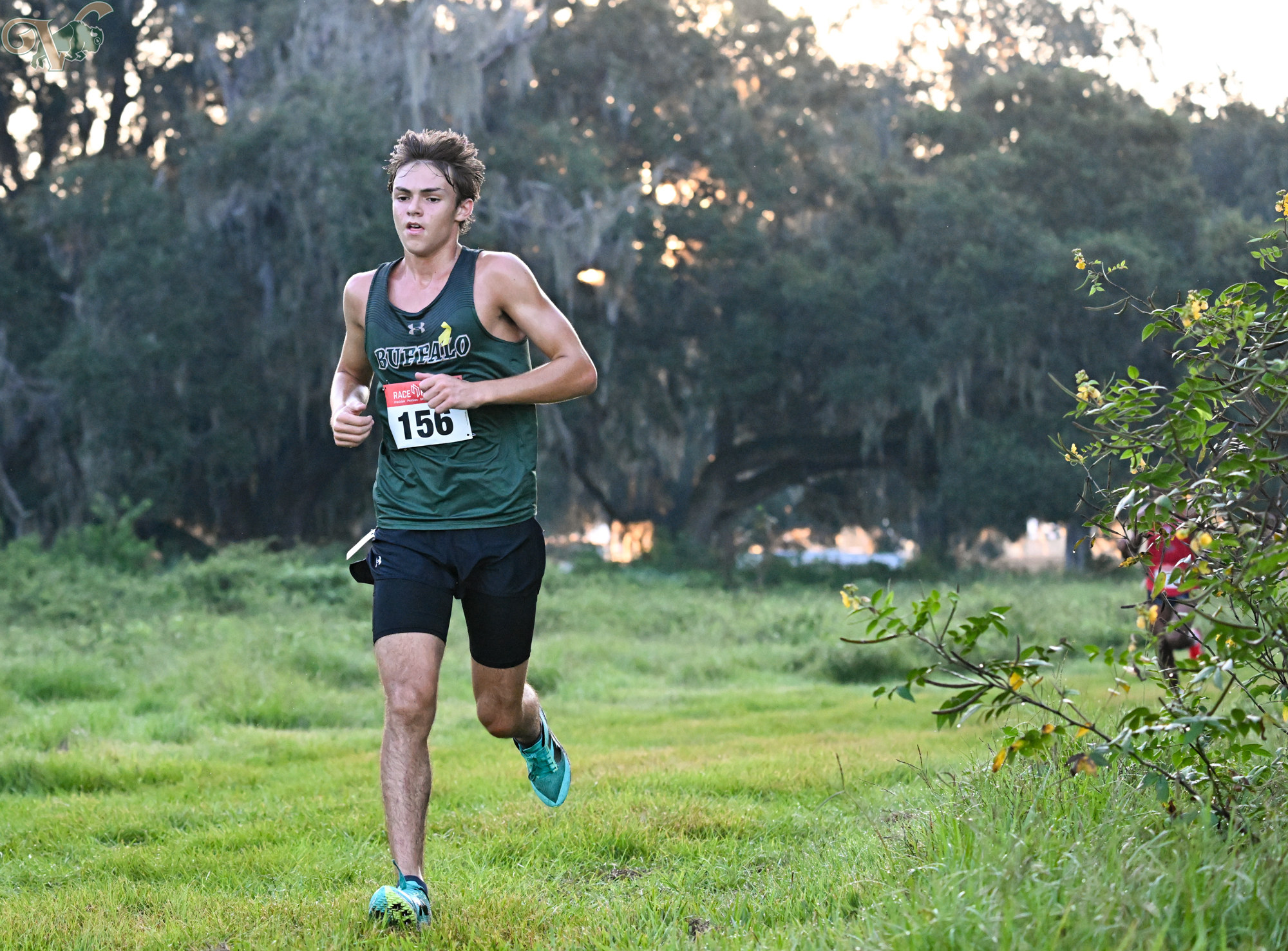 VHS Cross Country hosts the Buffalo Invitational on September 21, 2024, at Silo Oaks.