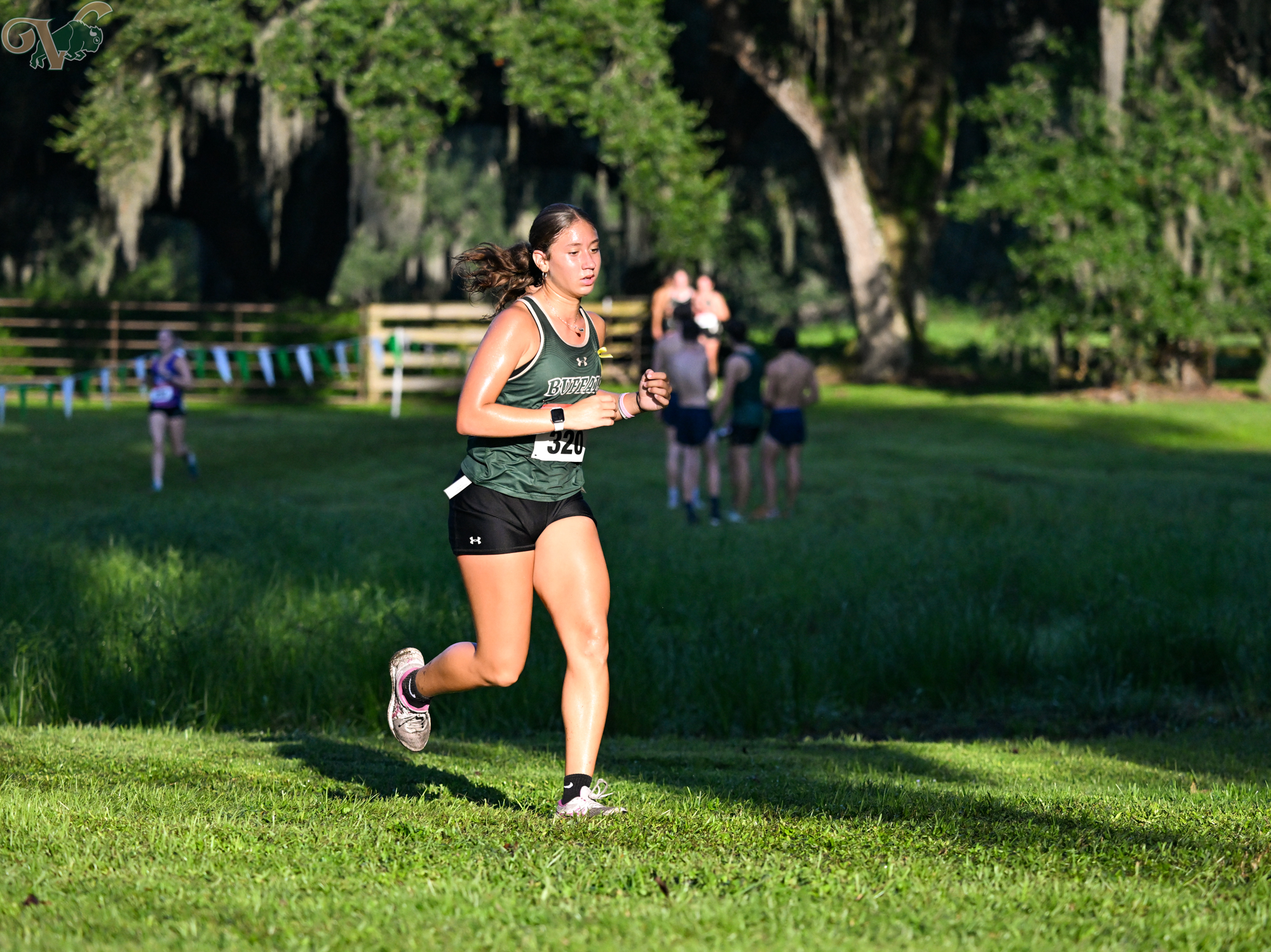 VHS Cross Country hosts the Buffalo Invitational on September 21, 2024, at Silo Oaks.